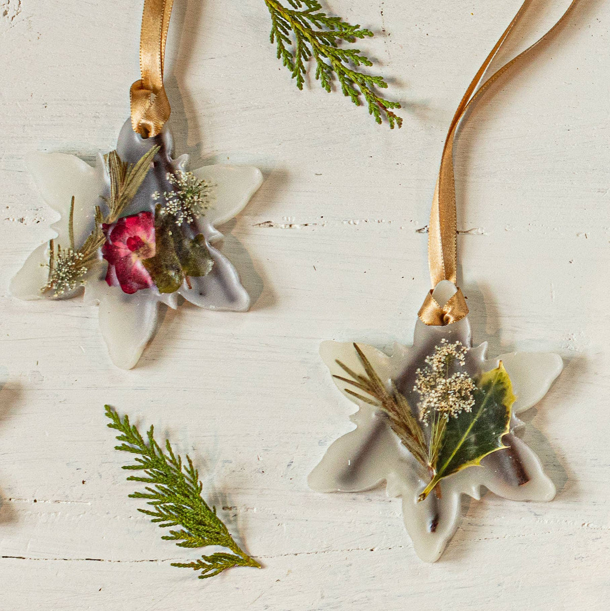 Snowflake Forest /Botanical Sachet