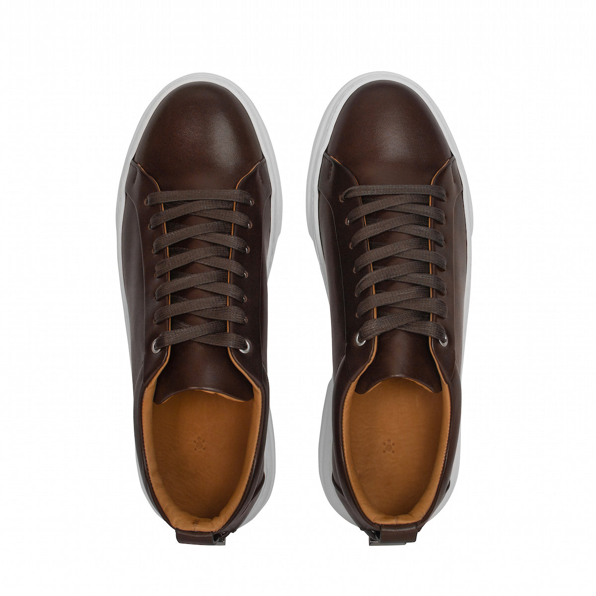Men's Figaro - Espresso Leather Sneakers