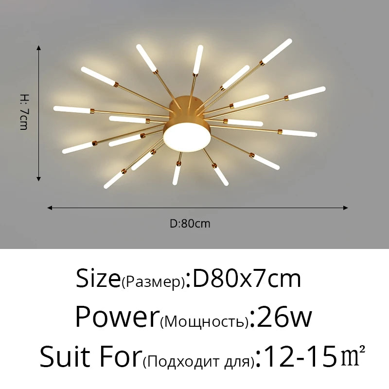 Modern Acrylic Ceiling LED Indoor Lighting For Bedroom Living Room or Kids Room Frame 175-260V