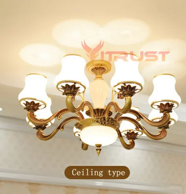 Modern LED Hanging Ceiling Chandeliers Lighting Fixture