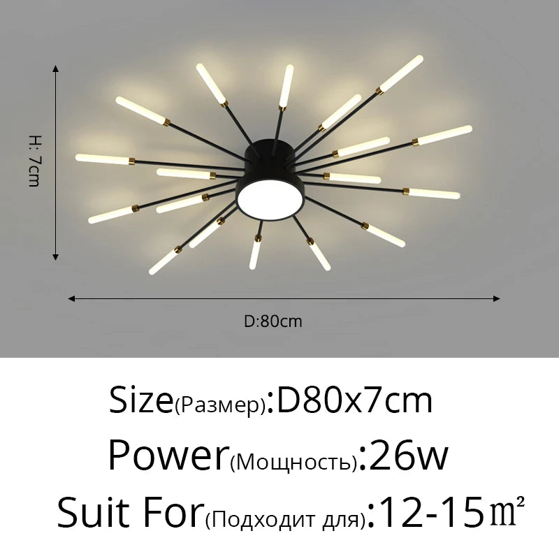 Modern Acrylic Ceiling LED Indoor Lighting For Bedroom Living Room or Kids Room Frame 175-260V
