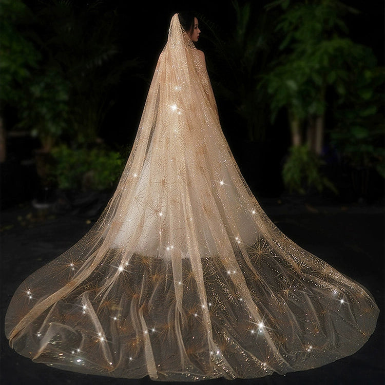 Bride Wedding Long Big Tailing Veil