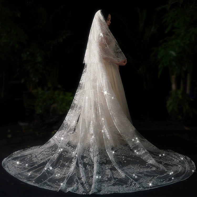 Bride Wedding Long Big Tailing Veil