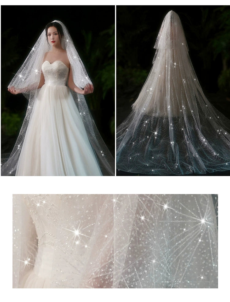 Bride Wedding Long Big Tailing Veil
