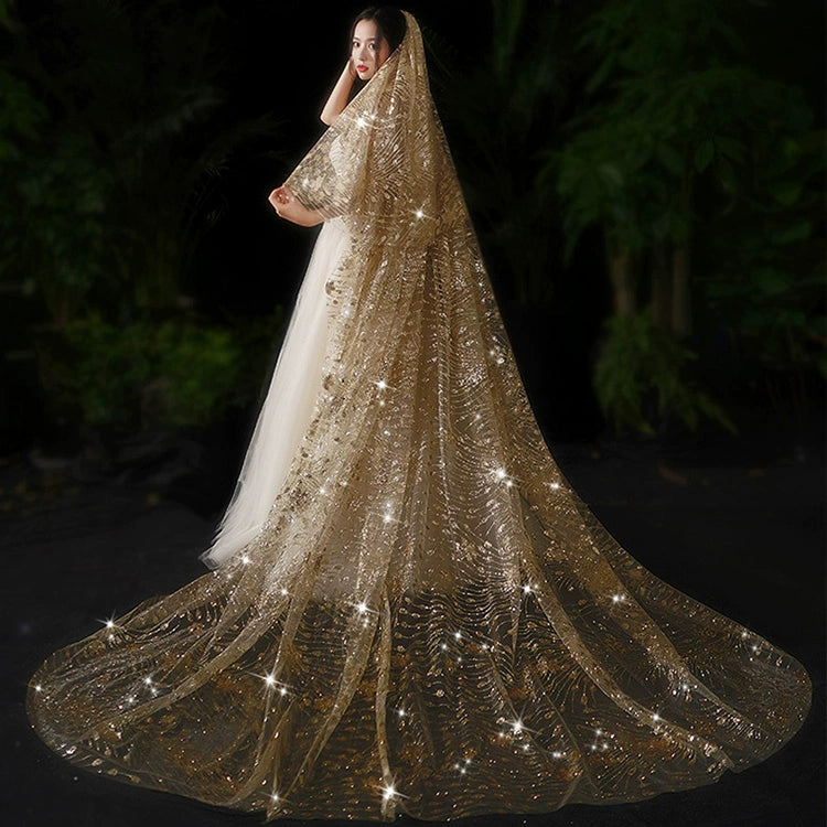 Bride Wedding Long Big Tailing Veil