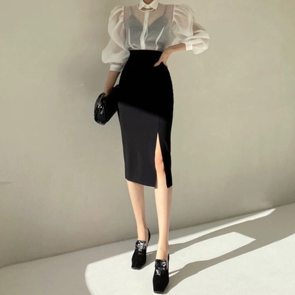 Elegant Chic Transparent Puff Sleeve Shirt Blouse