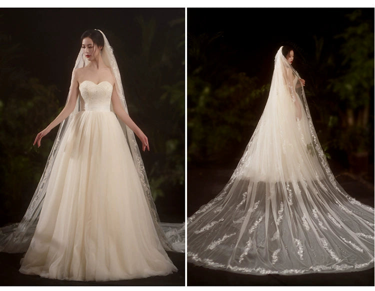 Bride Wedding Long Big Tailing Veil