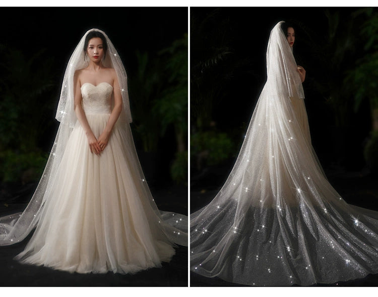 Bride Wedding Long Big Tailing Veil