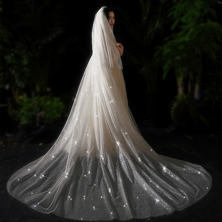 Bride Wedding Long Big Tailing Veil