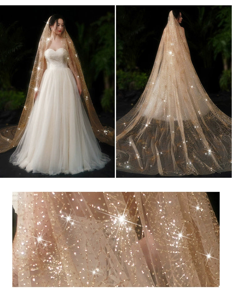 Bride Wedding Long Big Tailing Veil