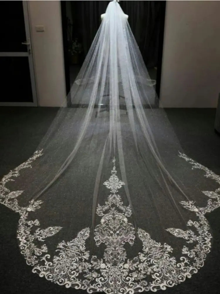 3M Long Cathedral Length White Ivory Bridal Veils with Appliques