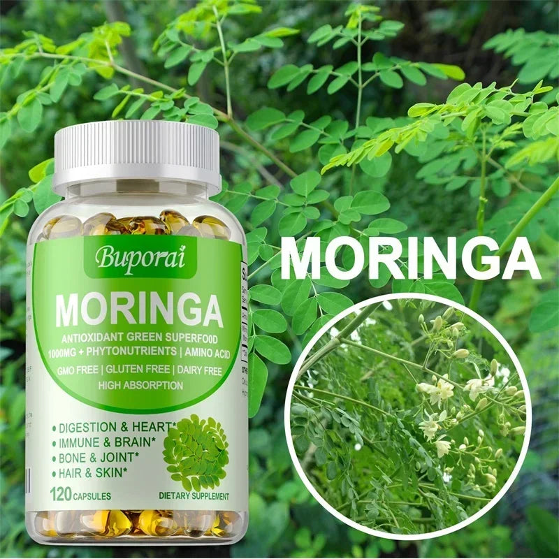 Moringa - Boost Immune System, Support Bone Health, Promotes Digestive Health, Helps Detox, Fat Burn