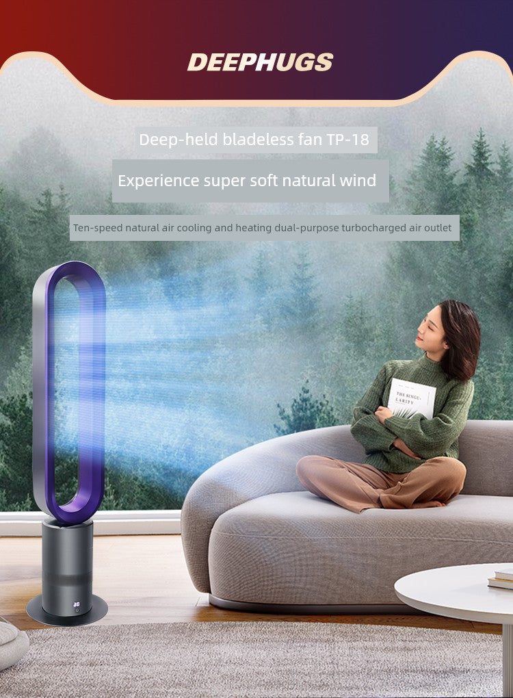 Energy-Saving Air Cooling and Heating Dual-Purpose Electric Fan