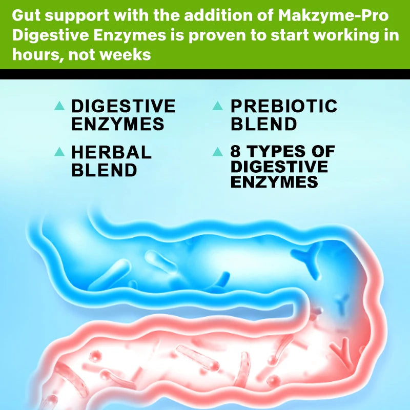 Digestive enzyme supplements for adults capsules Beneficial bacteria Immune system support and healthy digestion