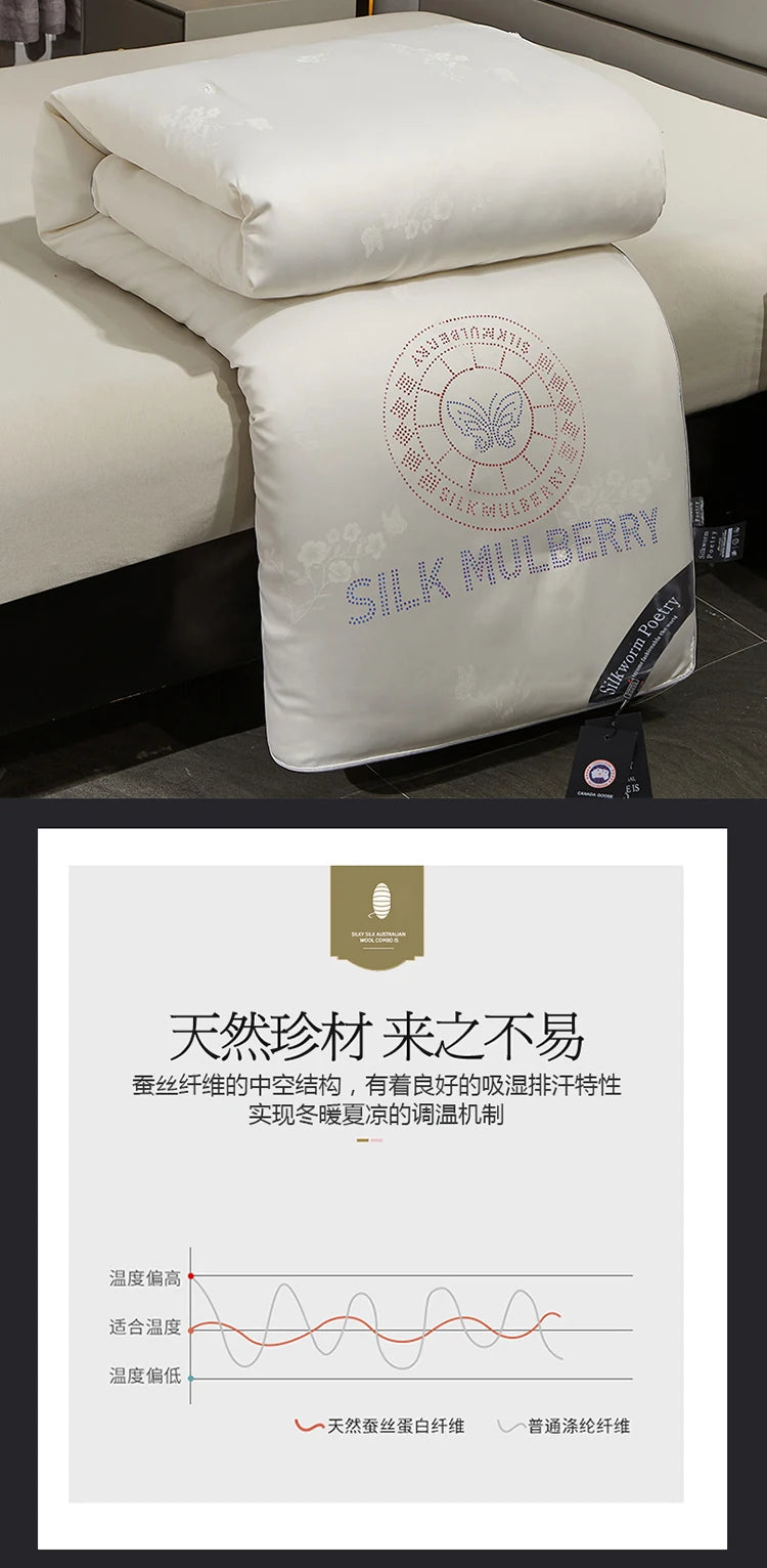 100% Mulberry silk with warm thickened quilt core 5kg winter comforter cotton cover spring autumn home quilt luxury blanket