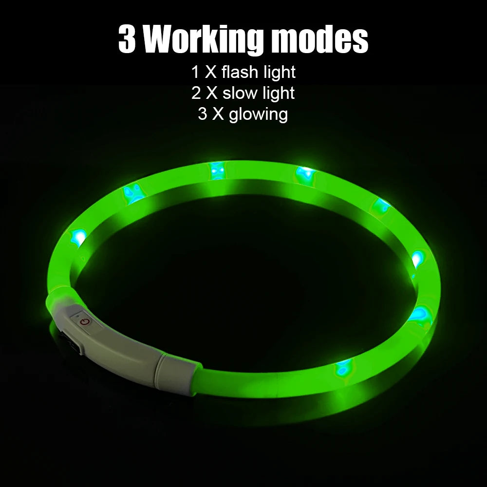 Pet Night LED Light Collar for Safety and Dog Loss Prevention
