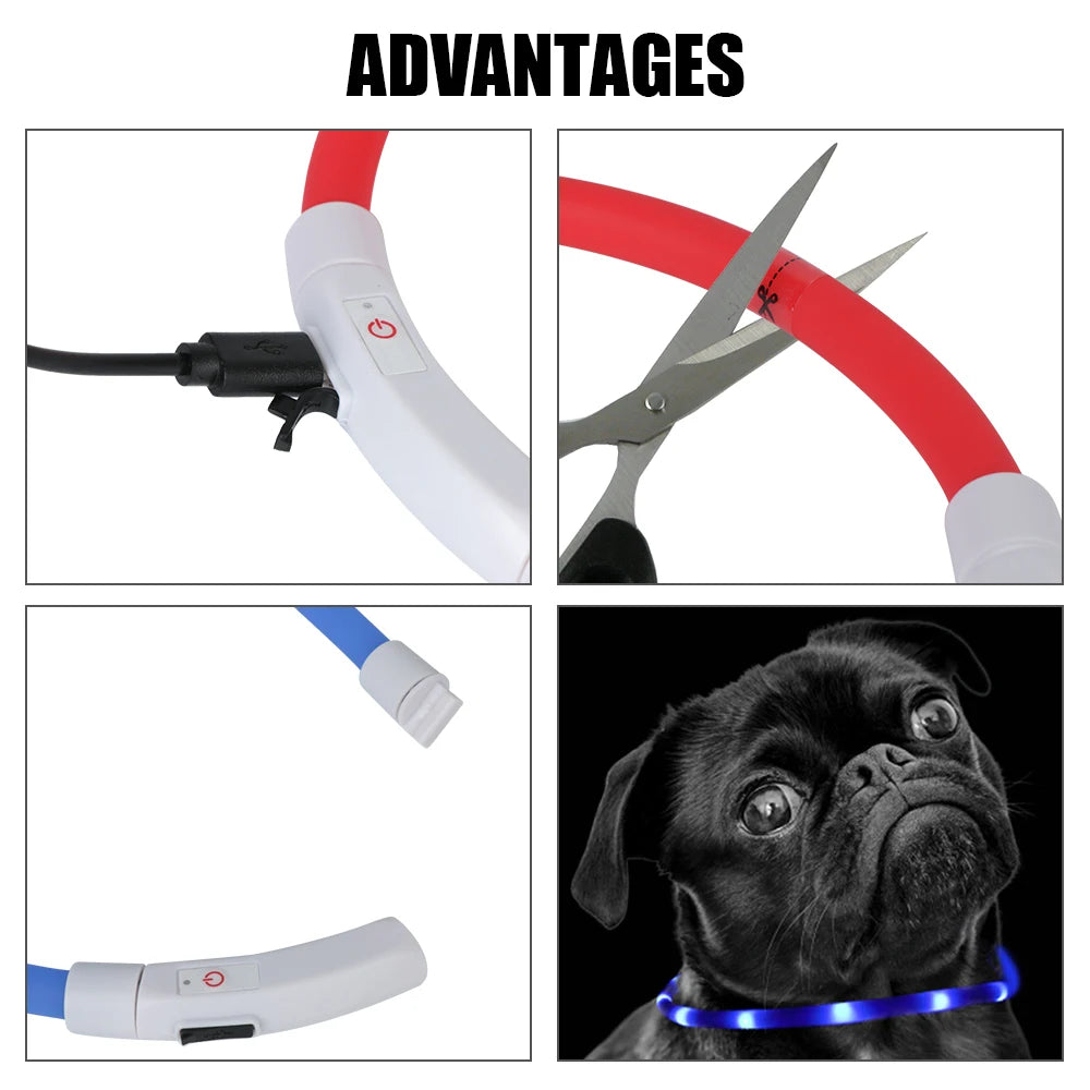 Pet Night LED Light Collar for Safety and Dog Loss Prevention