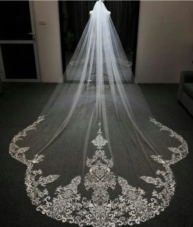 3M Long Cathedral Length White Ivory Bridal Veils with Appliques