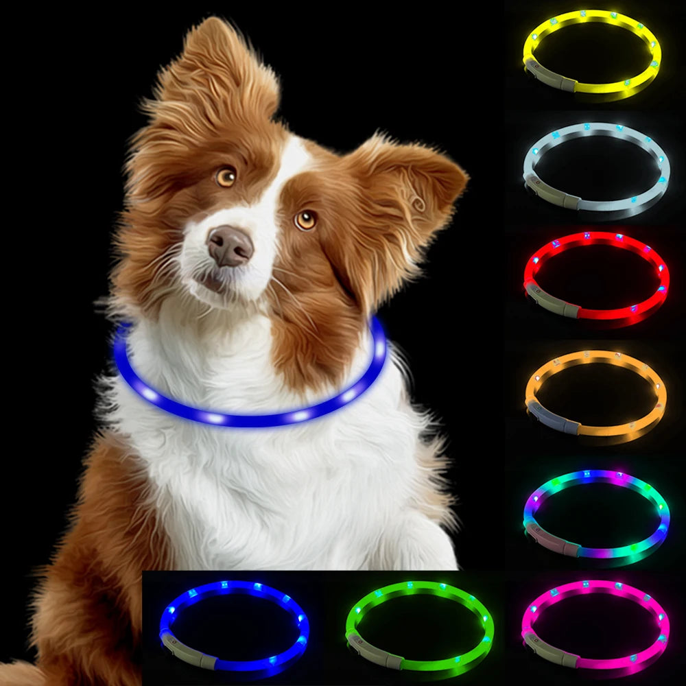 Pet Night LED Light Collar for Safety and Dog Loss Prevention