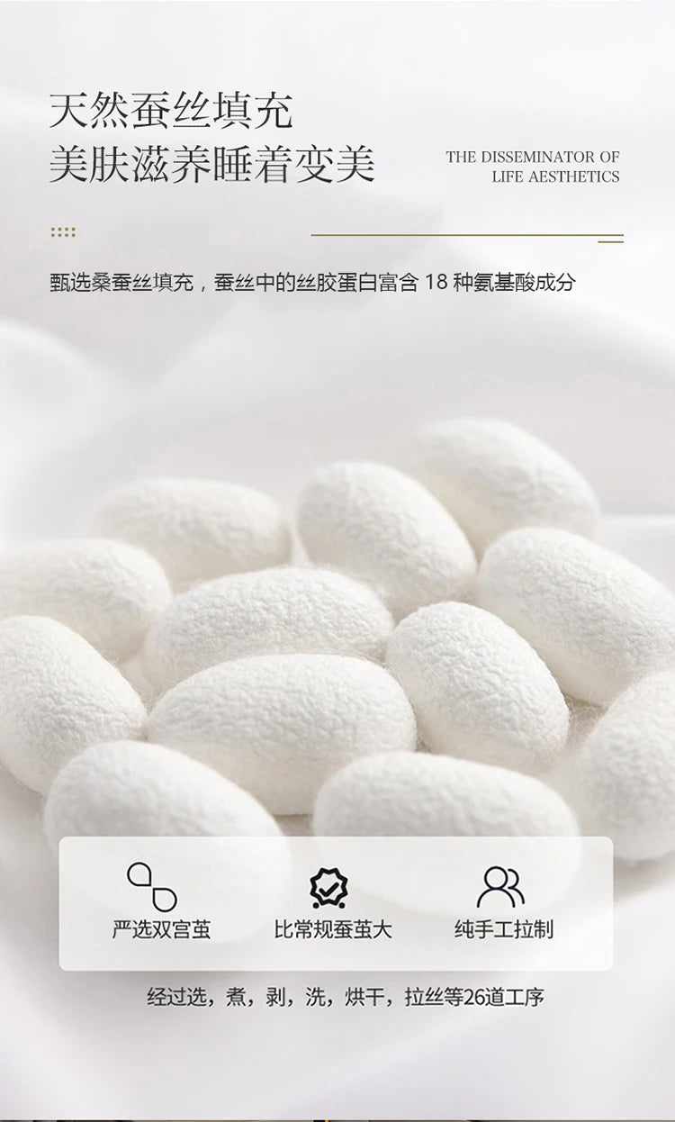 100% Mulberry silk with warm thickened quilt core 5kg winter comforter cotton cover spring autumn home quilt luxury blanket