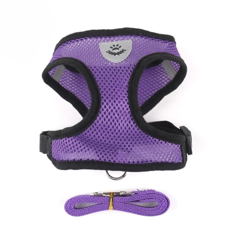 Adjustable Leash for Cat or Dog