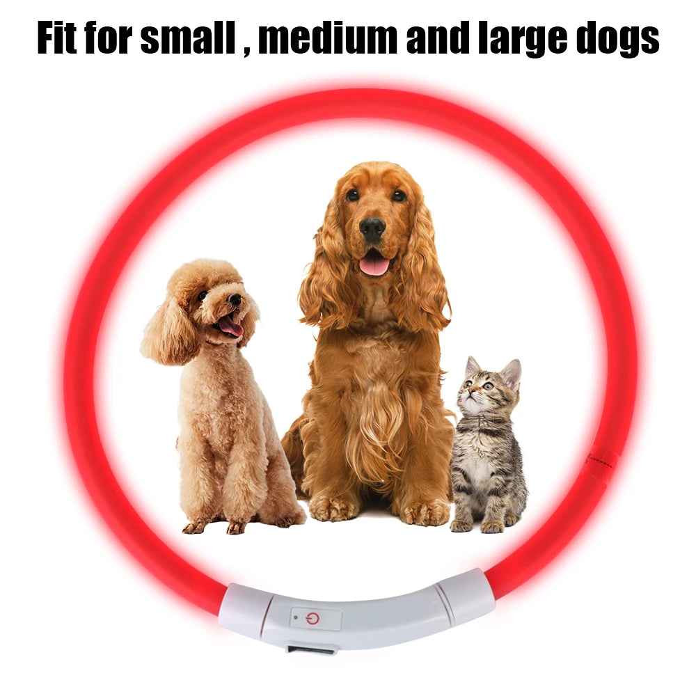 Pet Night LED Light Collar for Safety and Dog Loss Prevention