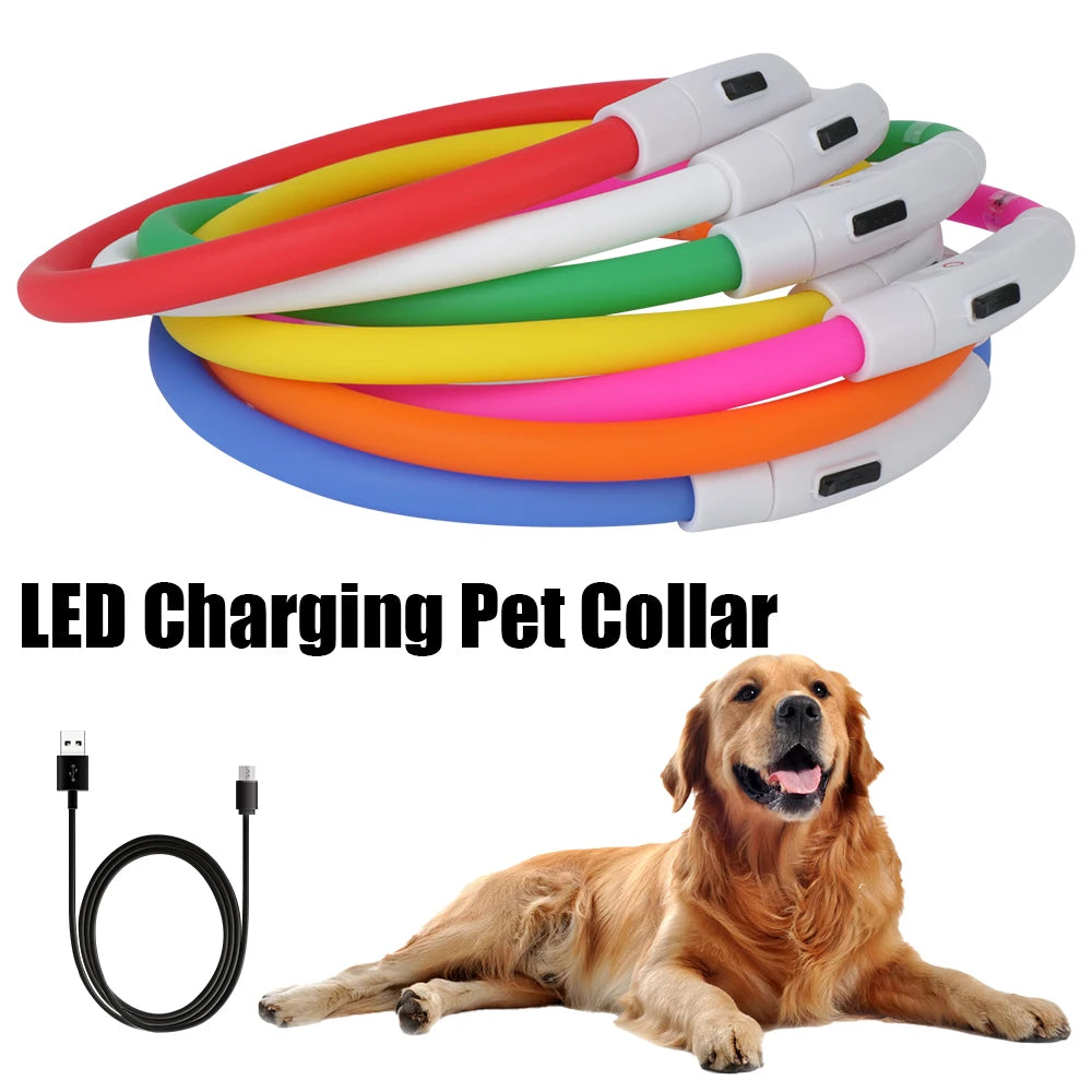 Pet Night LED Light Collar for Safety and Dog Loss Prevention
