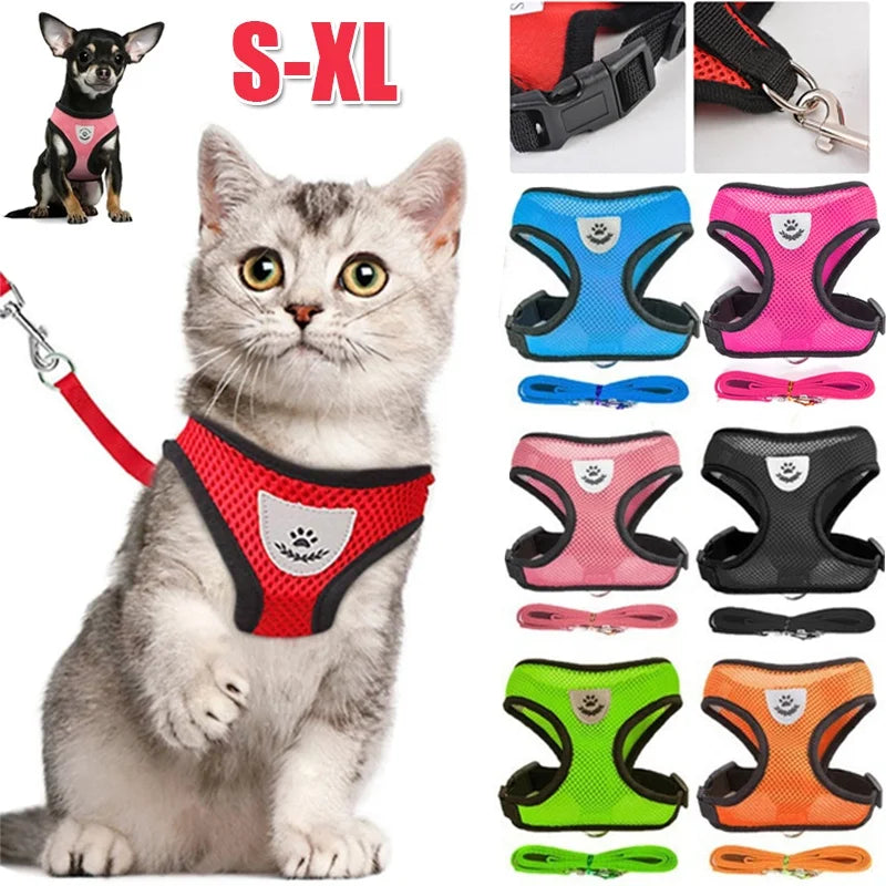 Adjustable Leash for Cat or Dog