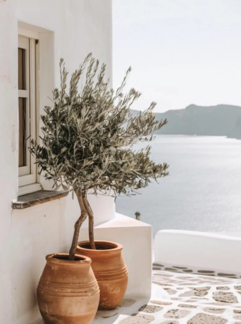 Santorini Modern Landscape Posters Prints Canvas