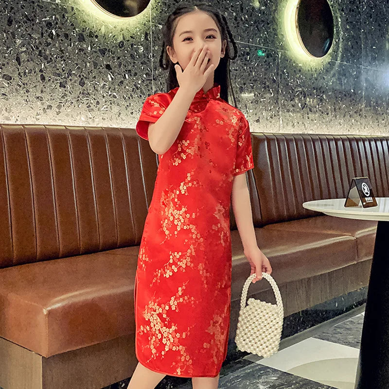 Traditional Chinese Girl Dress