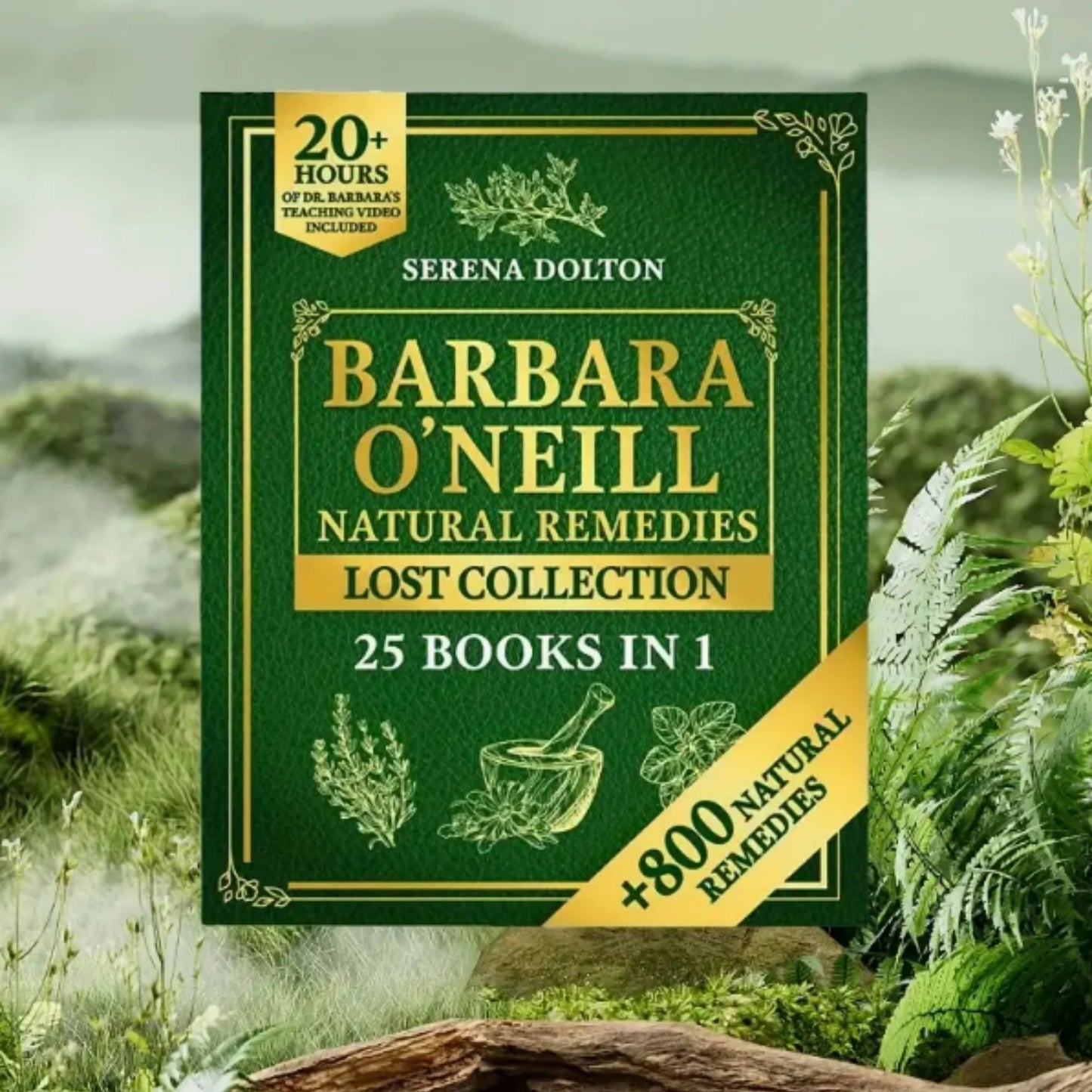 1/2 Books Sustain Me By Barbara O'Neill Natural Remedies Lost Collection A Holistic Guide to Herbal Medicine and Balanced Living
