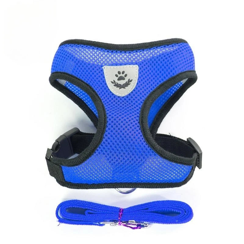 Adjustable Leash for Cat or Dog