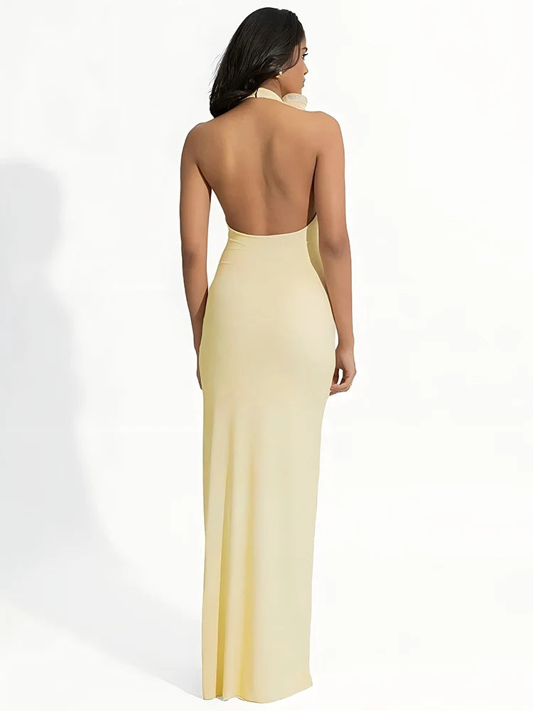 Mesh Rose Deep V Neck Sexy Maxi Dress For Women
