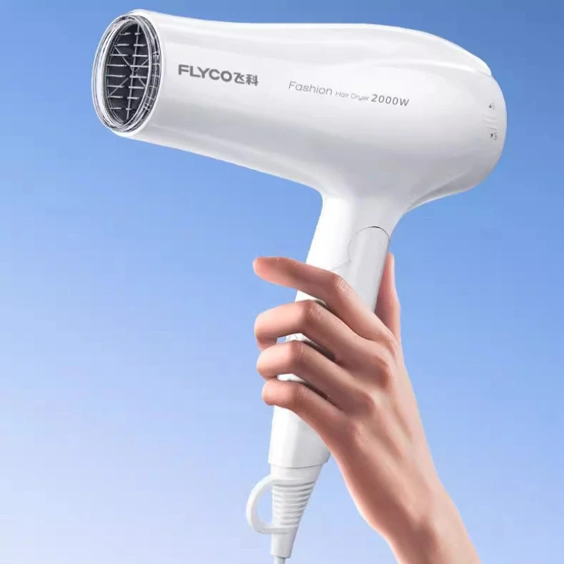 Flyco Hair Dryer High Wind Speed Drying Constant Temperature Hair Care High Power Household Hair Dryer Supports Cold and Hot Air