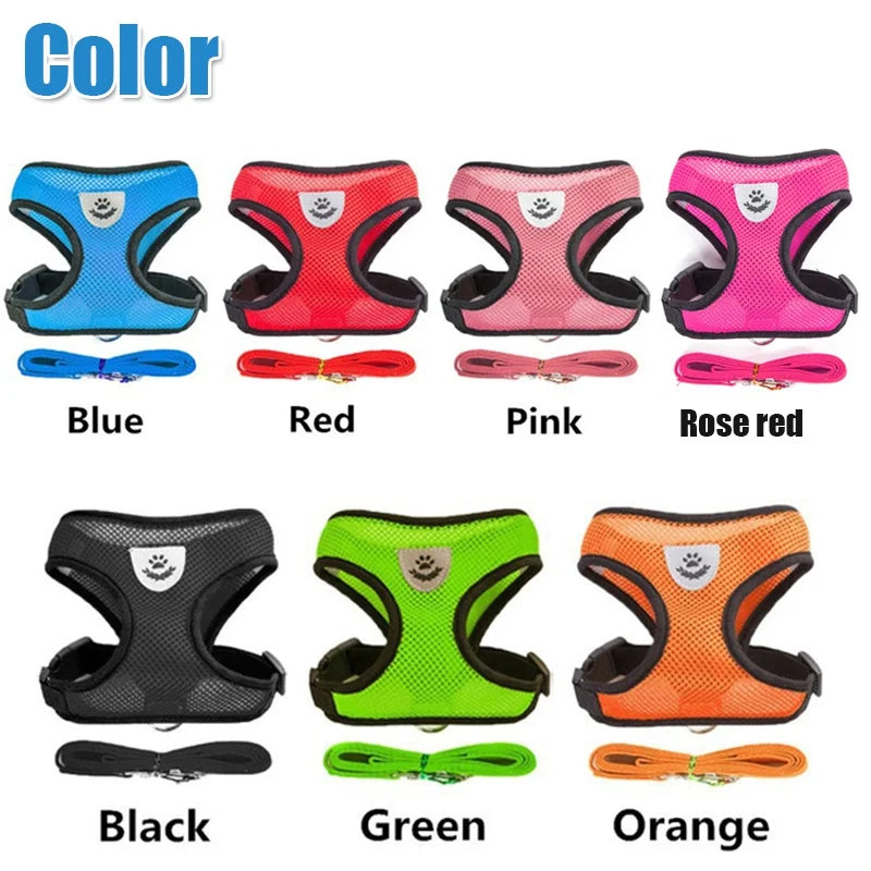 Adjustable Leash for Cat or Dog