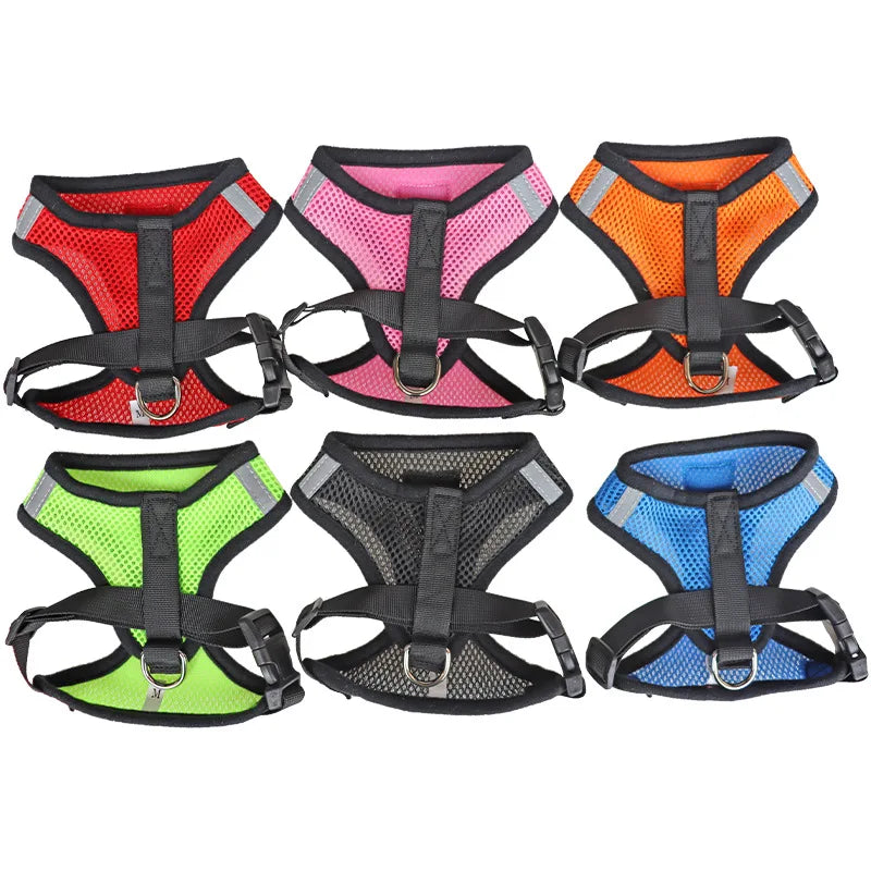 Adjustable Leash for Cat or Dog