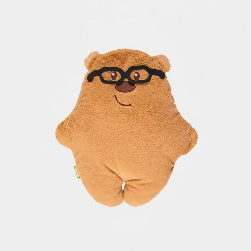 Pillow Bear, Throw Pillow, Kids Decor, Tigres