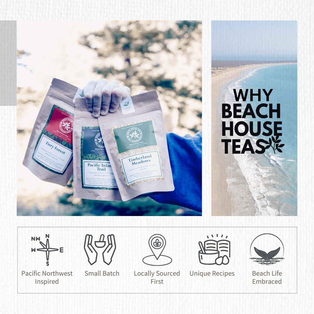 Storm Chaser Organic Delight Tea For Kids