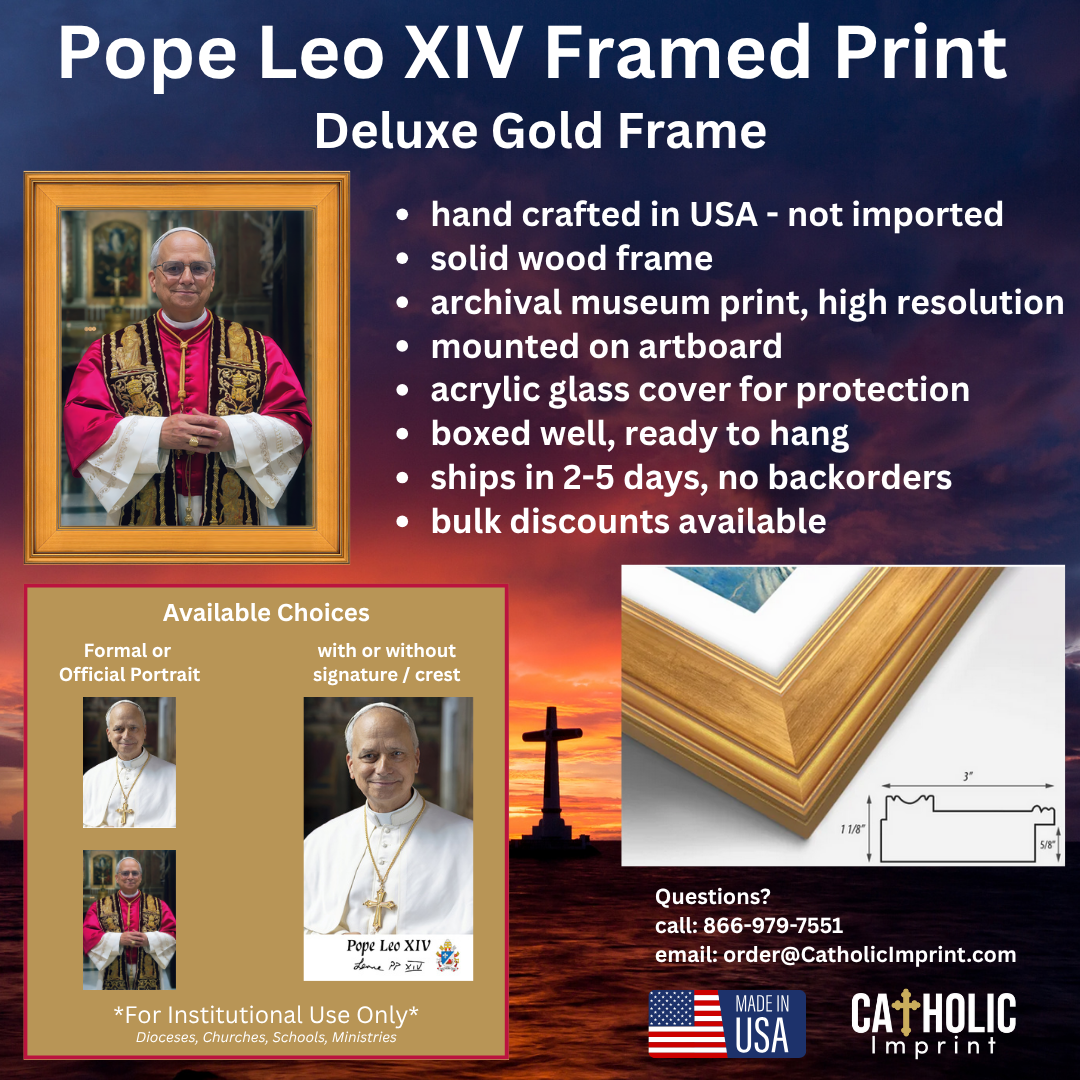 Pope Leo XIV Framed Print