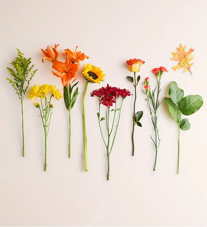 Fields of Europe for Fall Centerpiece