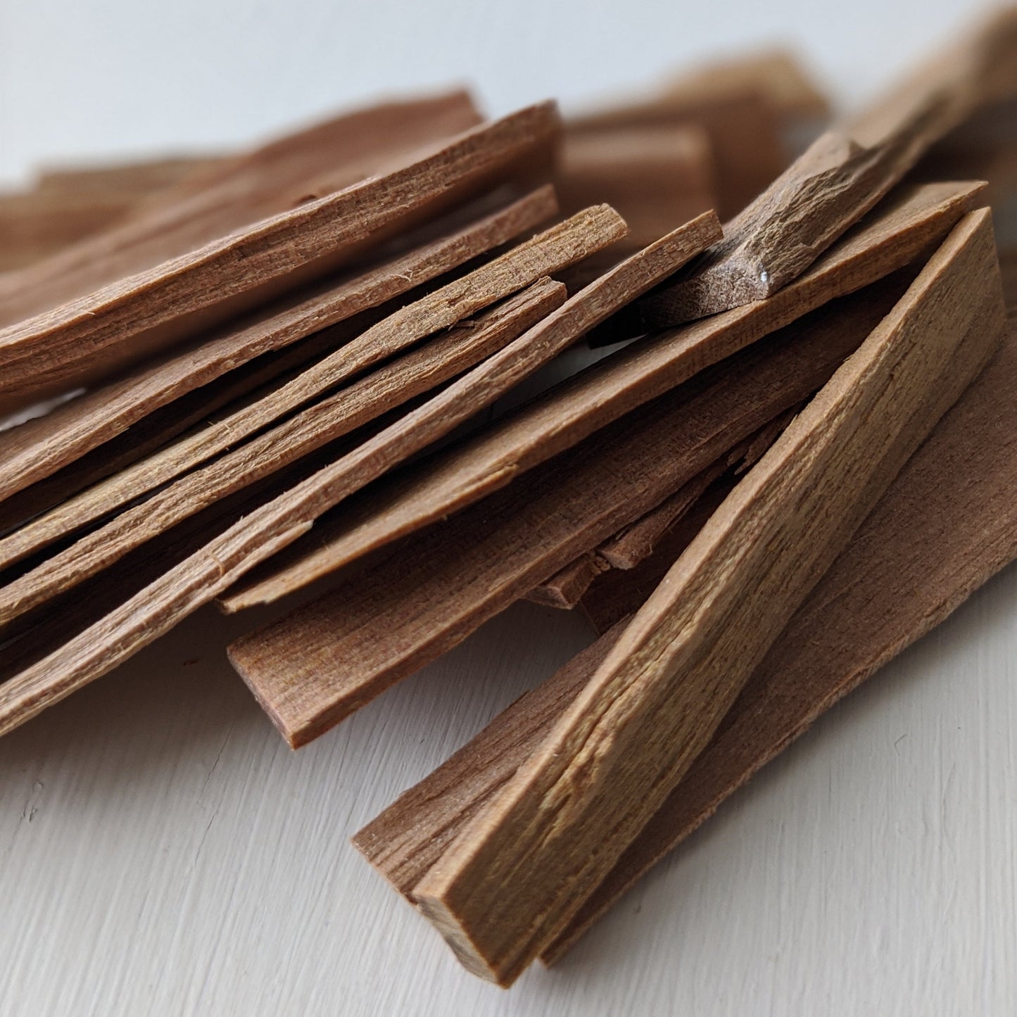 Sandalwild. sandalwood soliflore. solid perfume. May 2023
