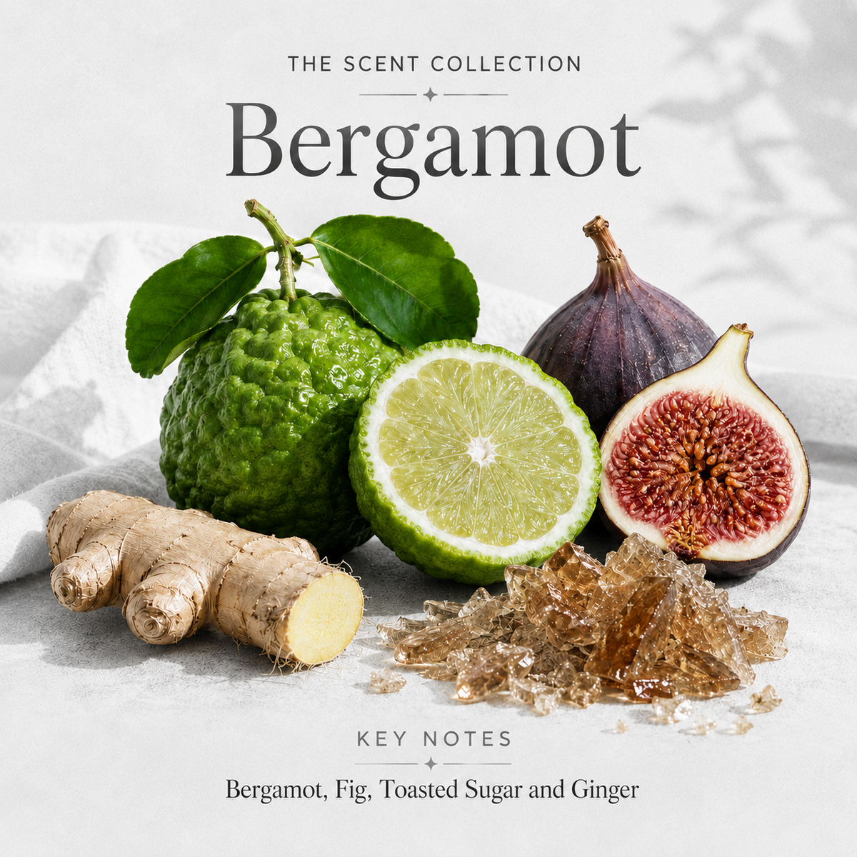 BERGAMOT Scented Laundry Detergent