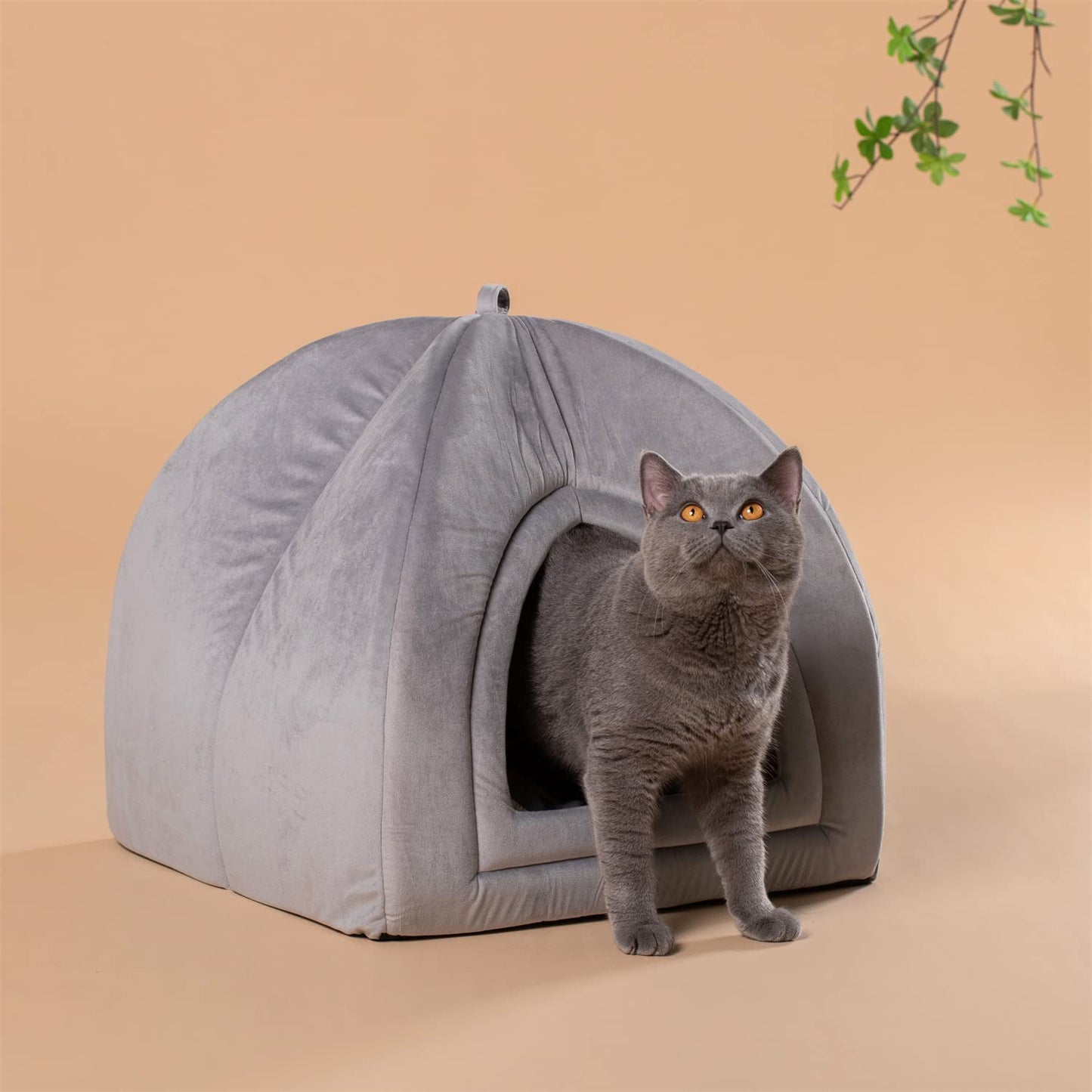 Cat Bed, Lovely Tent with Removable Washable Pillow Cushion