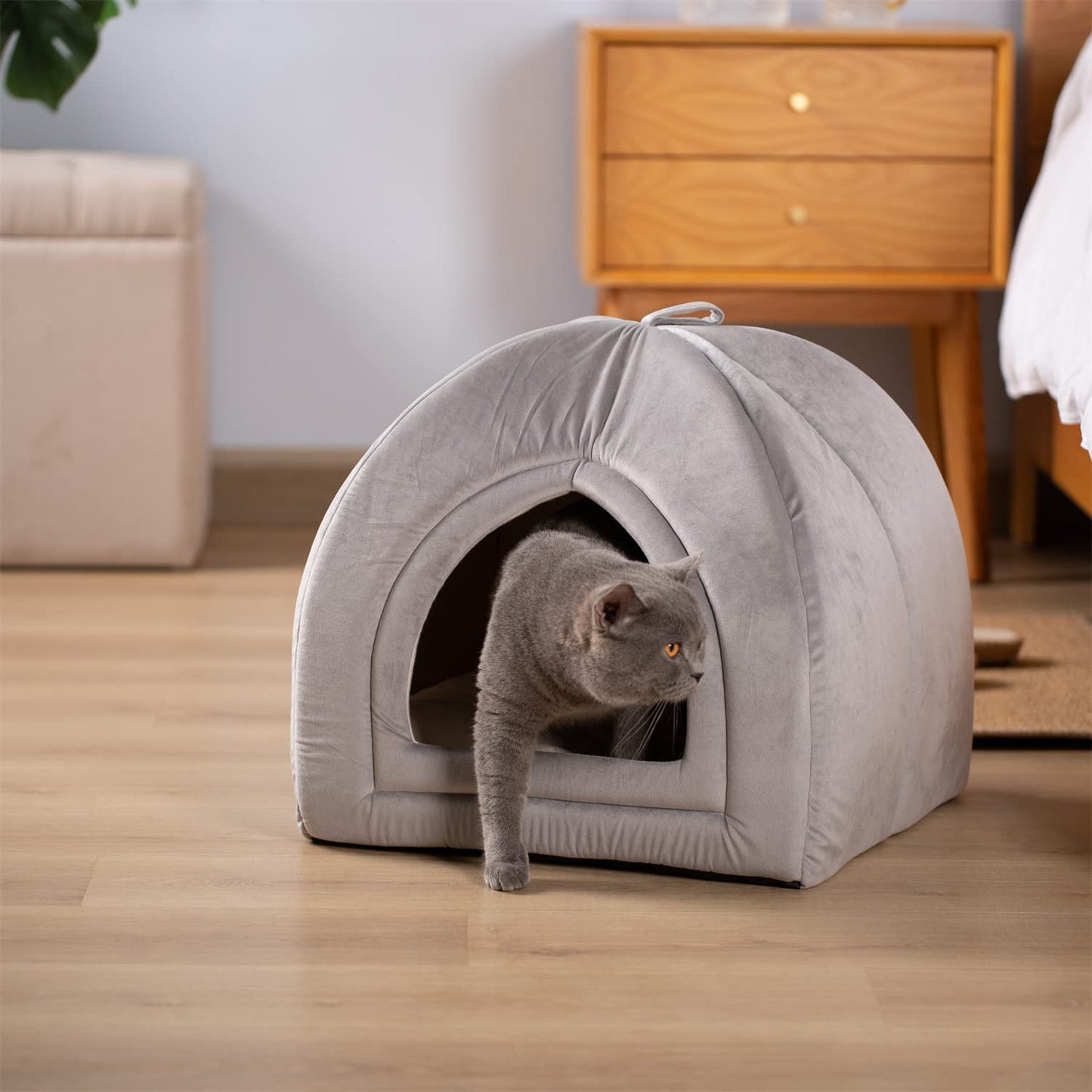 Cat Bed, Lovely Tent with Removable Washable Pillow Cushion