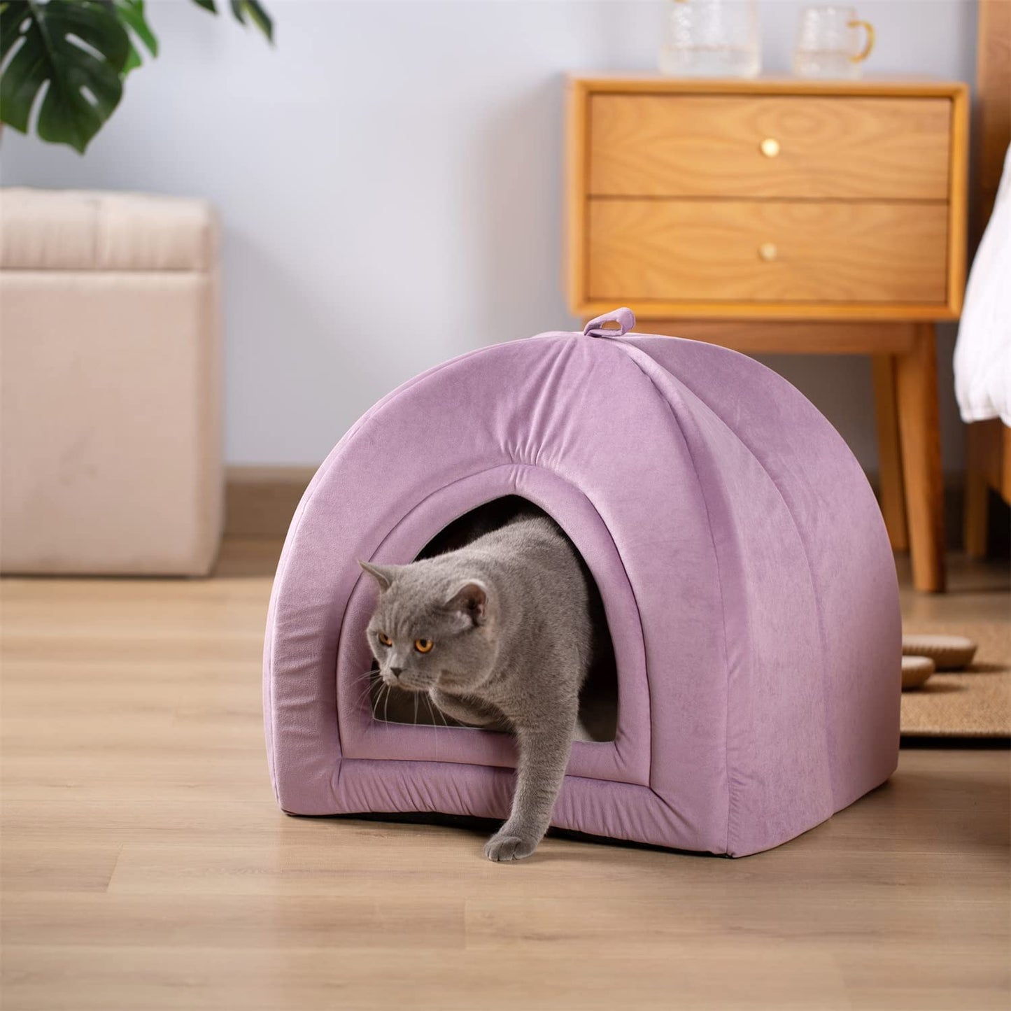 Cat Bed, Lovely Tent with Removable Washable Pillow Cushion