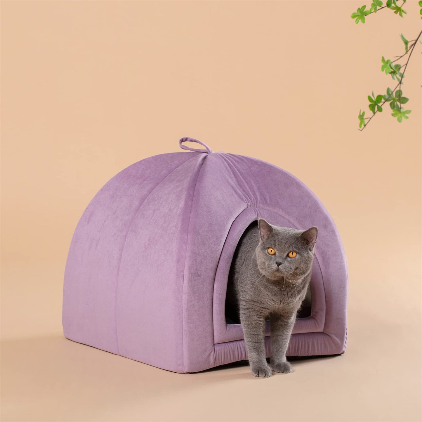 Cat Bed, Lovely Tent with Removable Washable Pillow Cushion