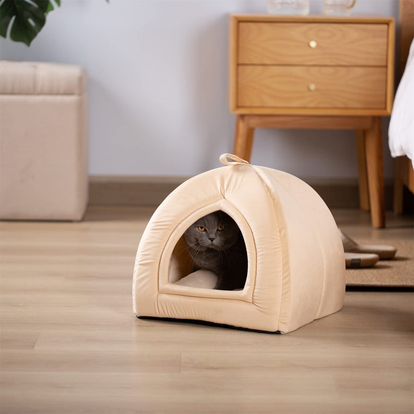 Cat Bed, Lovely Tent with Removable Washable Pillow Cushion