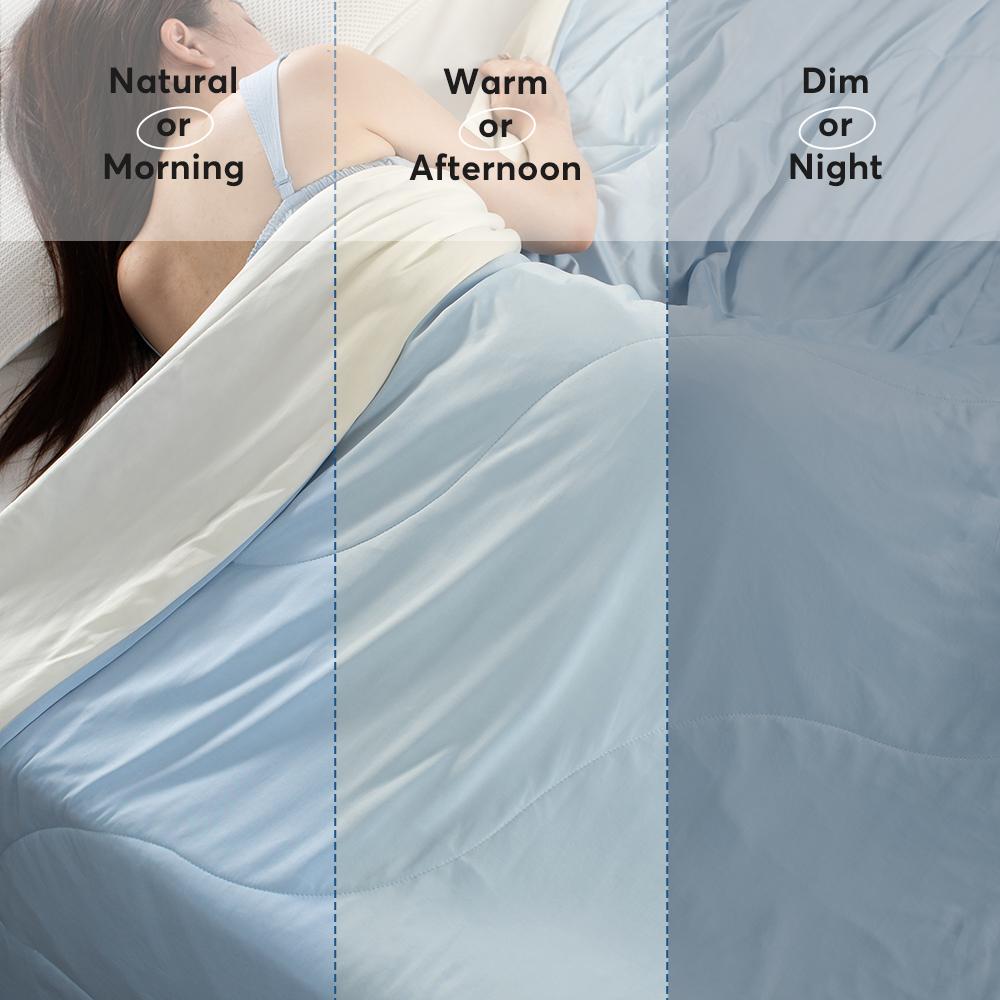 All Season Ultra Soft Cooling Blanket Comforter, Hypoallergenic and Breathable, Room Decor, Graduation Gifts