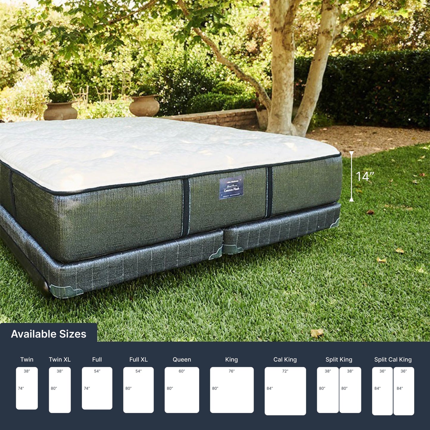 Cosmos Plush Mattress (FLOOR SAMPLE)