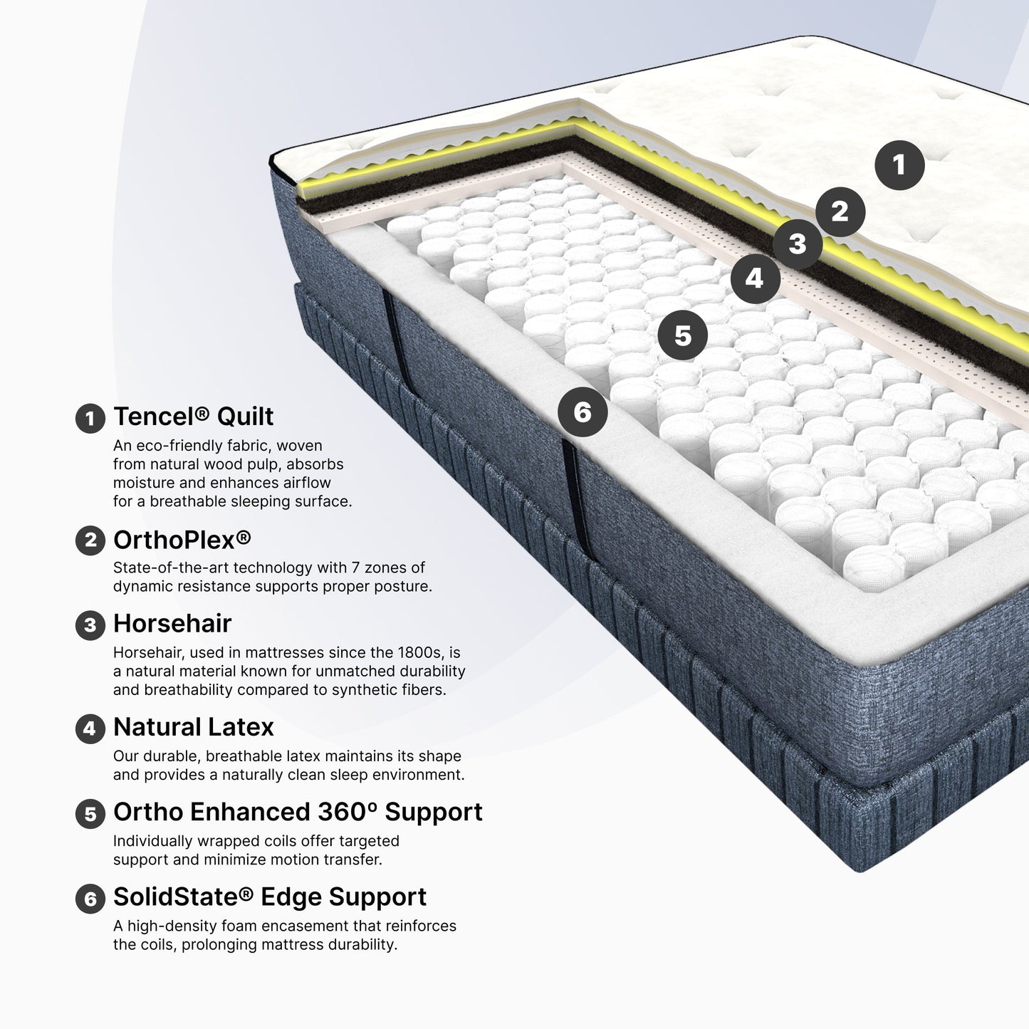 Cosmos Plush Mattress (FLOOR SAMPLE)